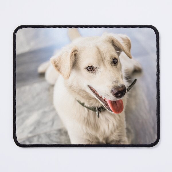 Item preview, Philippine Dog designed and sold by Lrenz.