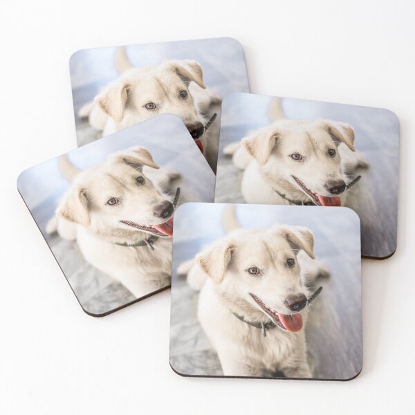 Item preview, Philippine Dog designed and sold by Lrenz.