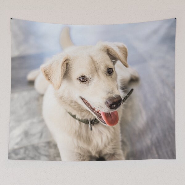 Item preview, Philippine Dog designed and sold by Lrenz.