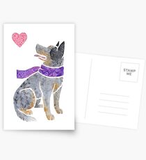 Watercolour Australian Cattle Dog Postcards