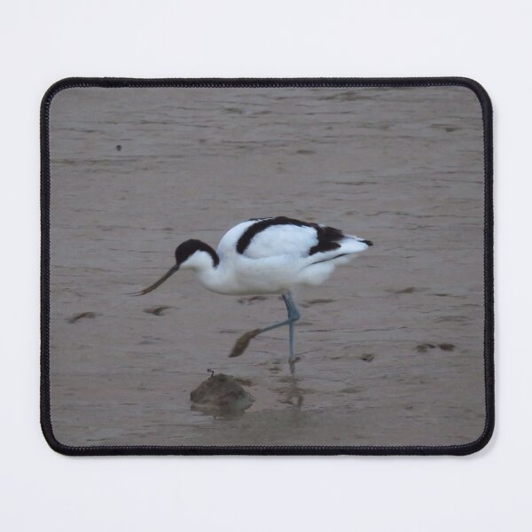 Item preview, Avocet designed and sold by wiggyofipswich.