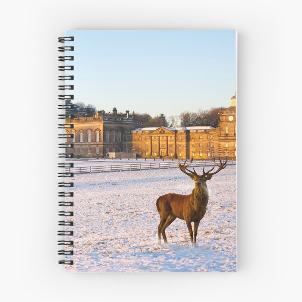 Item preview, Wentworth Woodhouse and Deer Park designed and sold by Alisonchambers2.