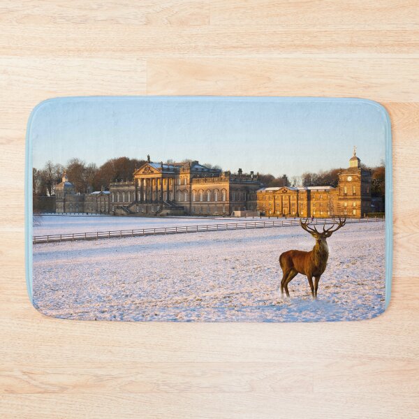 Item preview, Wentworth Woodhouse and Deer Park designed and sold by Alisonchambers2.