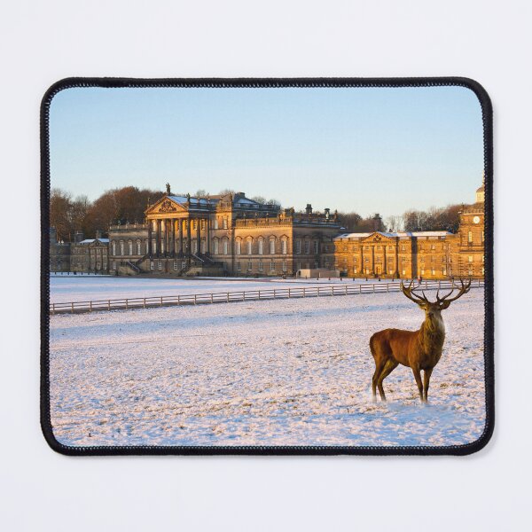 Item preview, Wentworth Woodhouse and Deer Park designed and sold by Alisonchambers2.