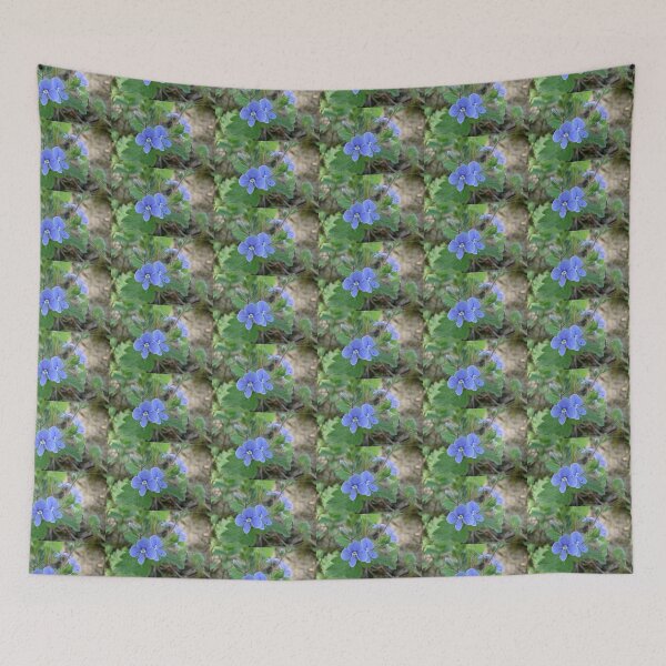 Item preview, Speedwell designed and sold by Ana Belaj.