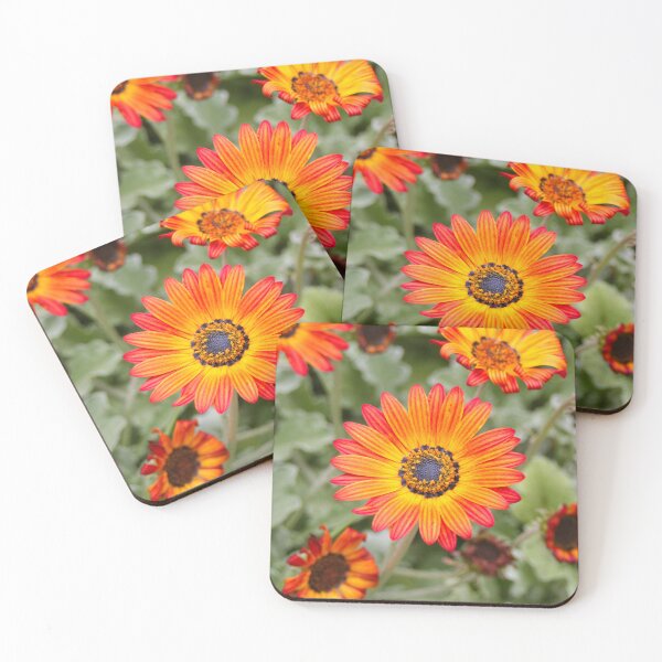 Item preview, Orange and Yellow Gazania Flowers in Bloom designed and sold by FranWest.