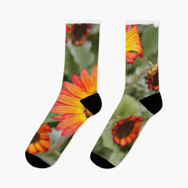 Item preview, Orange and Yellow Gazania Flowers in Bloom designed and sold by FranWest.