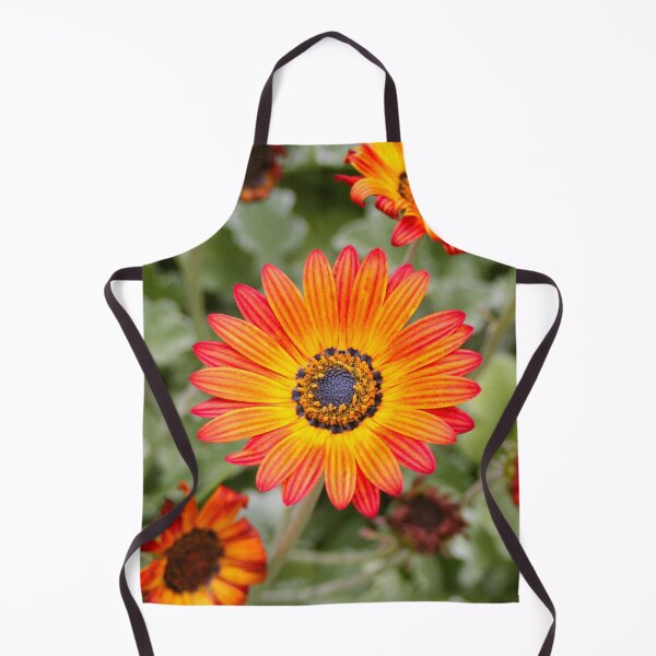 Item preview, Orange and Yellow Gazania Flowers in Bloom designed and sold by FranWest.