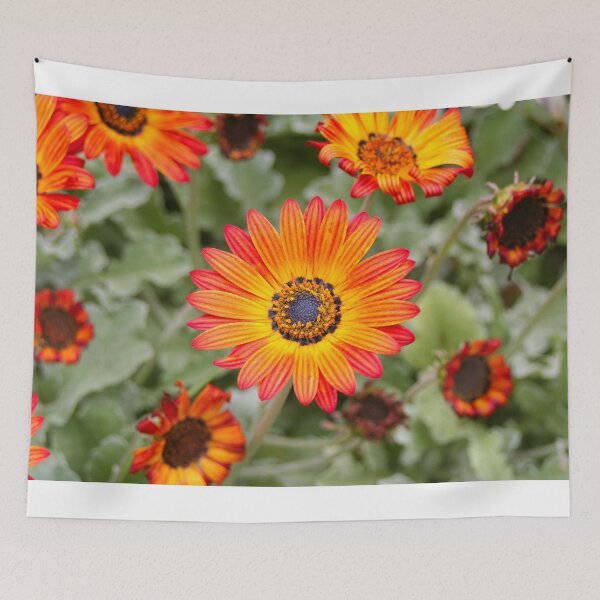 Item preview, Orange and Yellow Gazania Flowers in Bloom designed and sold by FranWest.