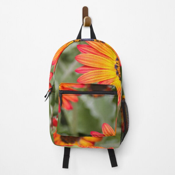 Item preview, Orange and Yellow Gazania Flowers in Bloom designed and sold by FranWest.