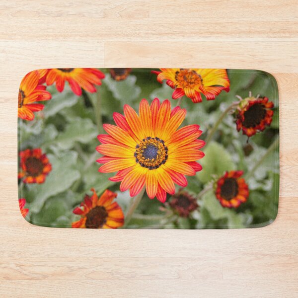 Item preview, Orange and Yellow Gazania Flowers in Bloom designed and sold by FranWest.