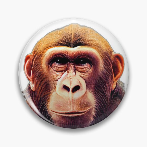 Item preview, An amused ape designed and sold by JMKphotos.