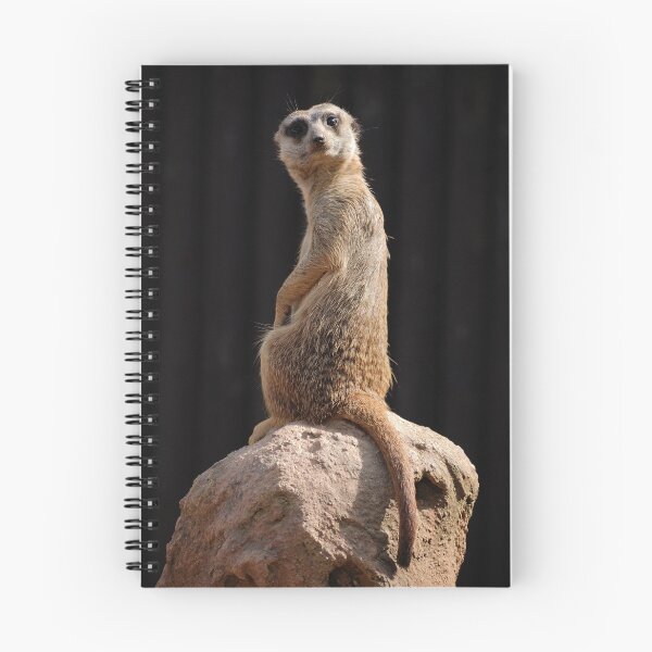 Item preview, Meerkat - sirucate designed and sold by Milan Latta.
