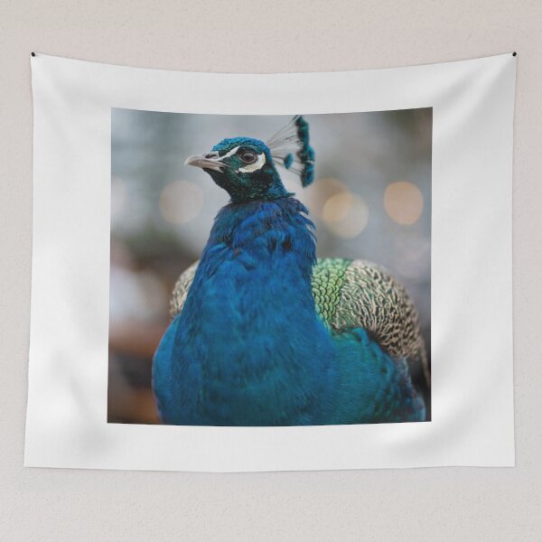 Item preview, Proud peacock  designed and sold by ArtsOfWonder.