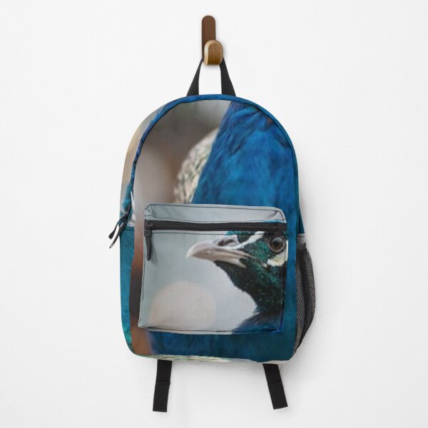 Artikelvorschau, Stolzer Pfau entworfen und verkauft von ArtsOfWonder.