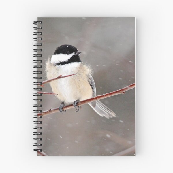 Item preview, Windblown Chickadee designed and sold by Debbie Oppermann.
