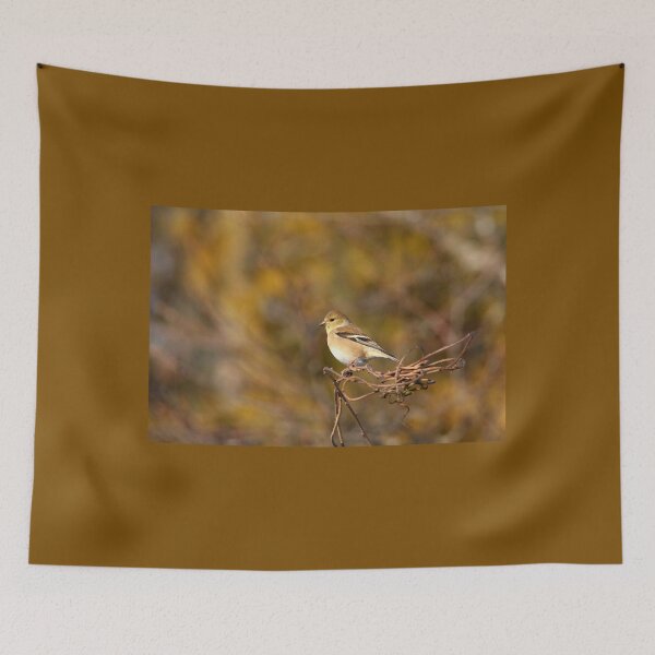 Item preview, Winter Colours designed and sold by Debbie Oppermann.