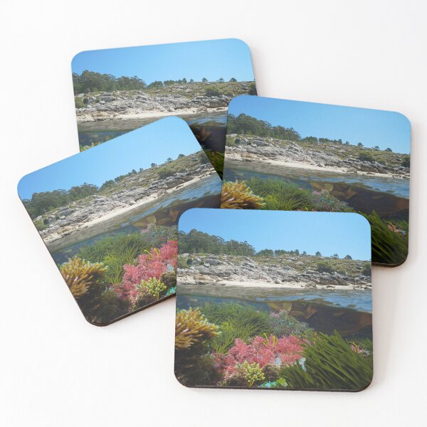 Item preview, Spain Galicia coastline and colorful algae split view over under water designed and sold by Seaphotoart.