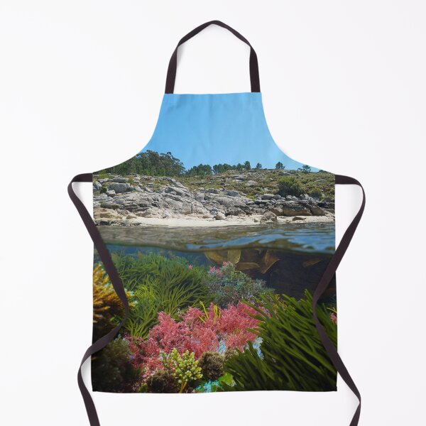 Item preview, Spain Galicia coastline and colorful algae split view over under water designed and sold by Seaphotoart.