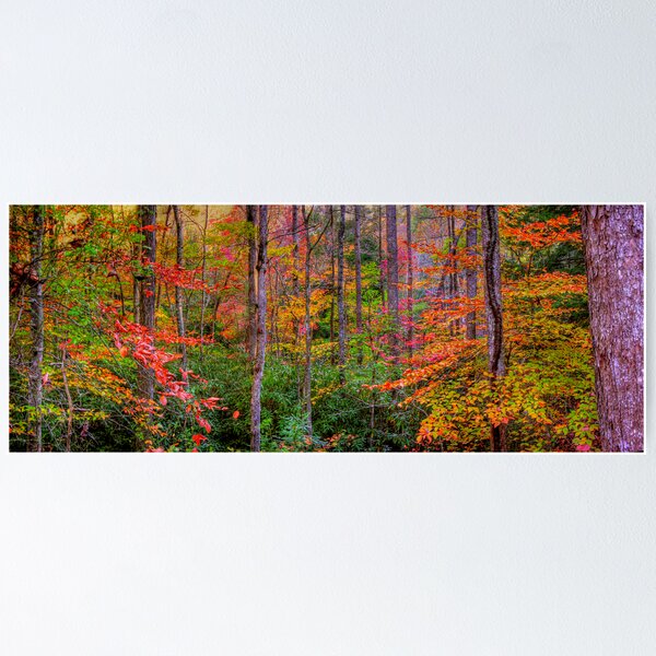 Item preview, Red River Gorge designed and sold by Elizabeth Eldridge.
