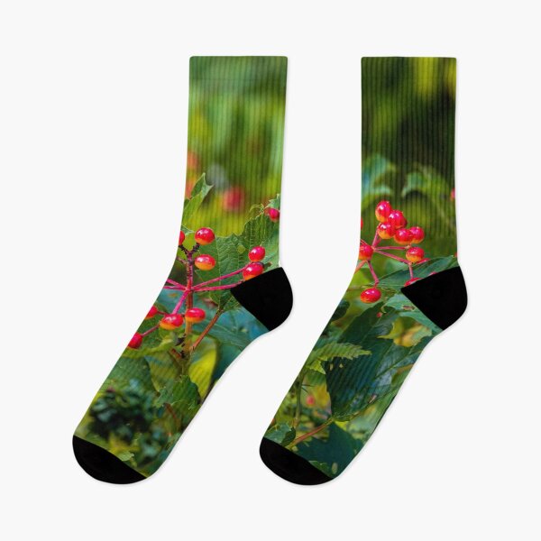 Item preview, guelder rose fruits designed and sold by HausmannArt.