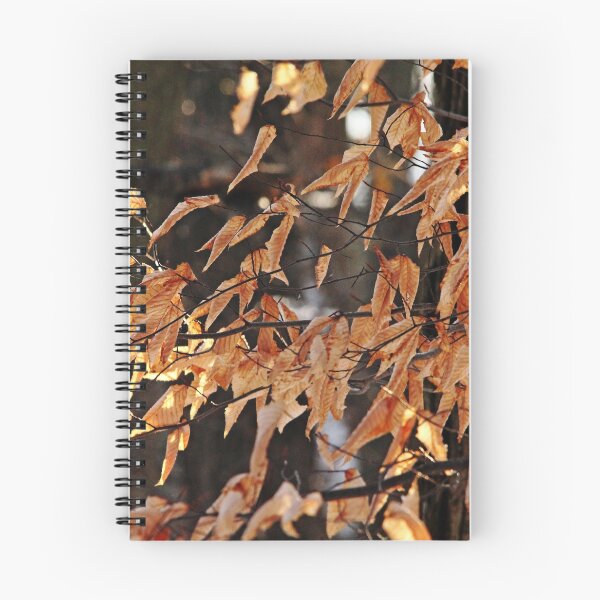 Item preview, Papery Beech Leaves designed and sold by Debbie Oppermann.