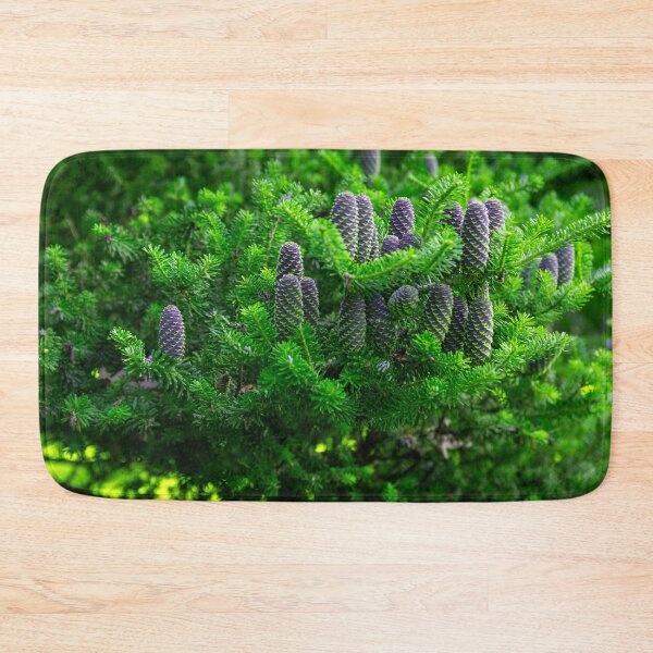 Item preview, Korean fir, abies koreana designed and sold by HausmannArt.