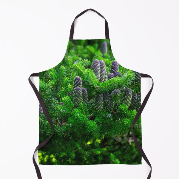Item preview, Korean fir, abies koreana designed and sold by HausmannArt.