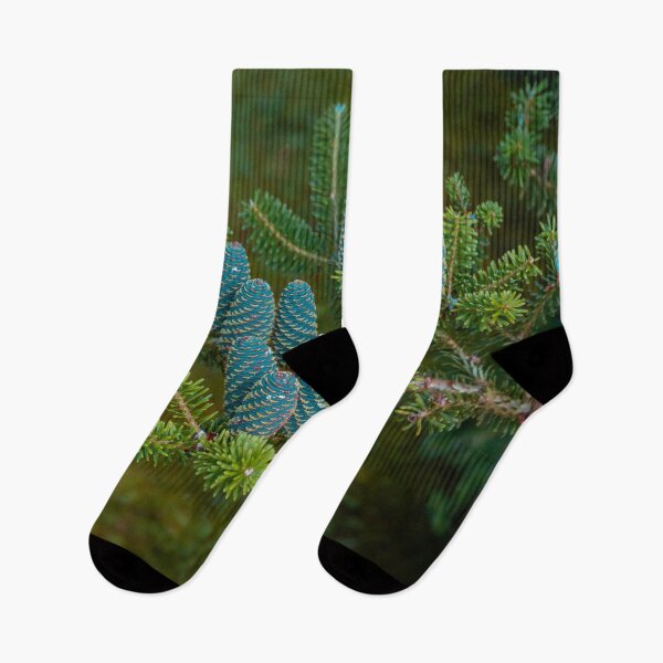 Item preview, Korean fir, abies coreana blue cones designed and sold by HausmannArt.