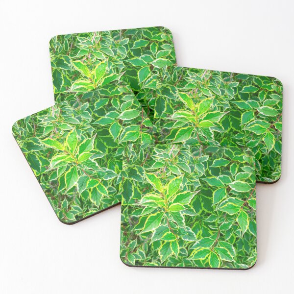 Item preview, weigela florida leaves designed and sold by HausmannArt.