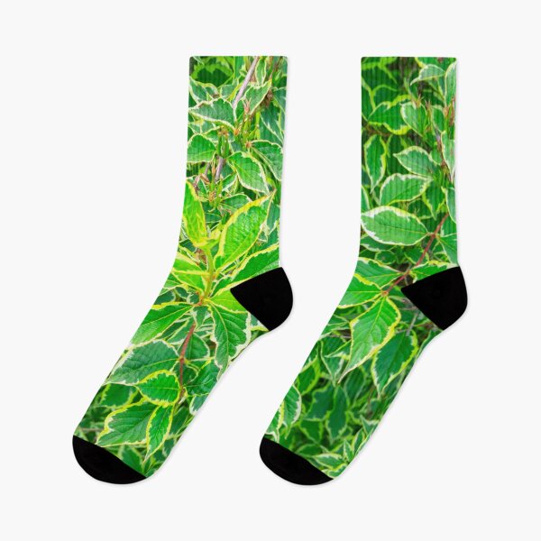 Item preview, weigela florida leaves designed and sold by HausmannArt.