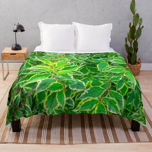 Item preview, weigela florida leaves designed and sold by HausmannArt.