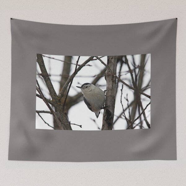 Item preview, White Breasted Nuthatch Portrait designed and sold by Debbie Oppermann.