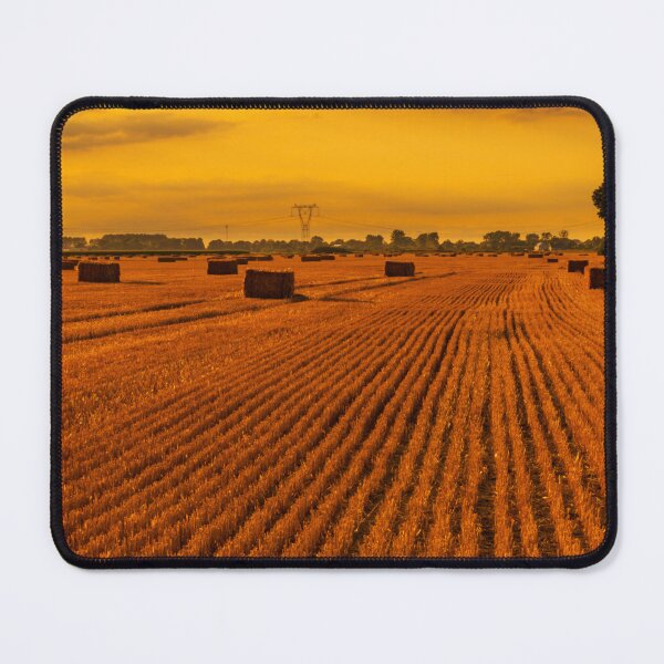 Item preview, Rolled straw lying on stubble. designed and sold by HausmannArt.