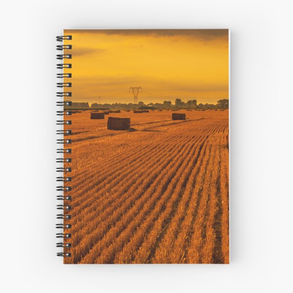 Item preview, Rolled straw lying on stubble. designed and sold by HausmannArt.