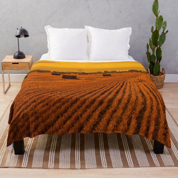 Item preview, Rolled straw lying on stubble. designed and sold by HausmannArt.