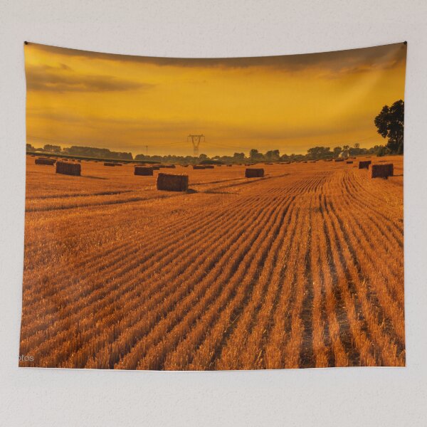 Item preview, Rolled straw lying on stubble. designed and sold by HausmannArt.