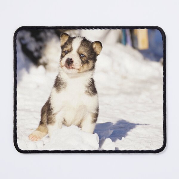 Item preview, jm puppy designed and sold by joan manel zamora.