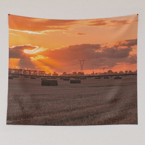 Item preview, The setting sun over the stubble. designed and sold by HausmannArt.
