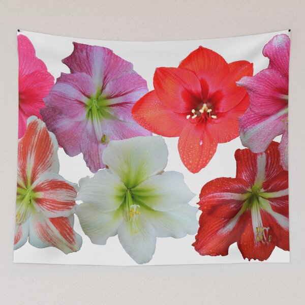 Item preview, Natures beauty by 7  designed and sold by paulwhitephotos.
