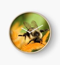 Bee Clock