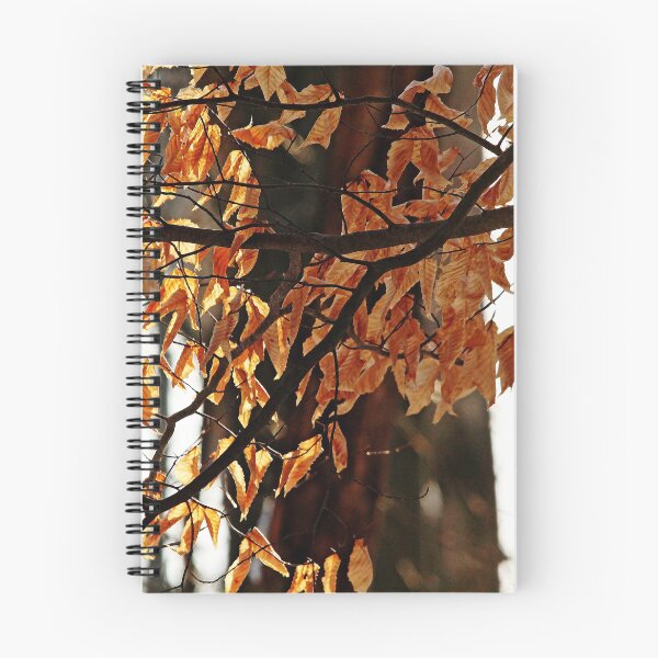 Item preview, Beech Leaves In Winter designed and sold by Debbie Oppermann.