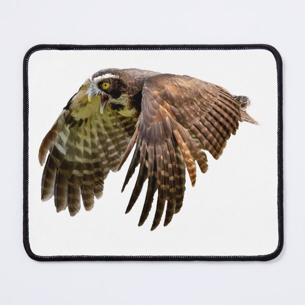 Item preview, Spectacled Owl in flight designed and sold by Dalyndigital Photography.