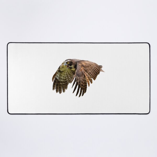 Item preview, Spectacled Owl in flight designed and sold by Dalyndigital Photography.