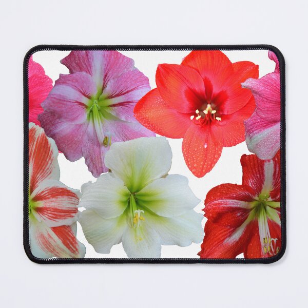 Item preview, Natures beauty by 7  designed and sold by paulwhitephotos.