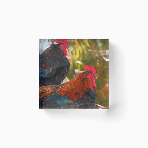 Item preview, This is my best friend designed and sold by paulwhitephotos.