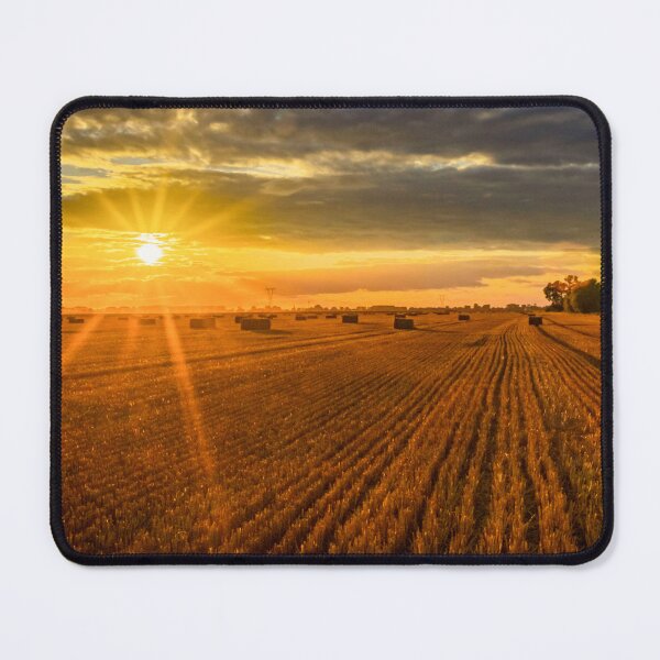 Item preview, The setting sun over the stubble. Harvest designed and sold by HausmannArt.