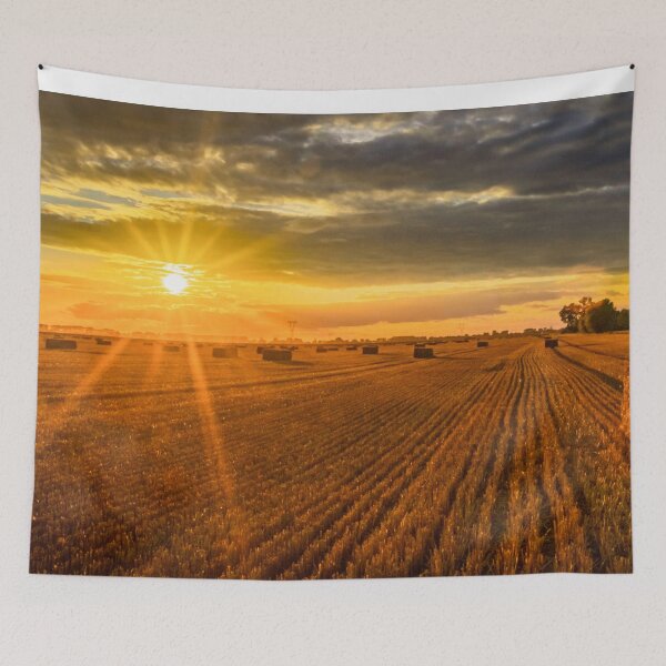 Item preview, The setting sun over the stubble. Harvest designed and sold by HausmannArt.