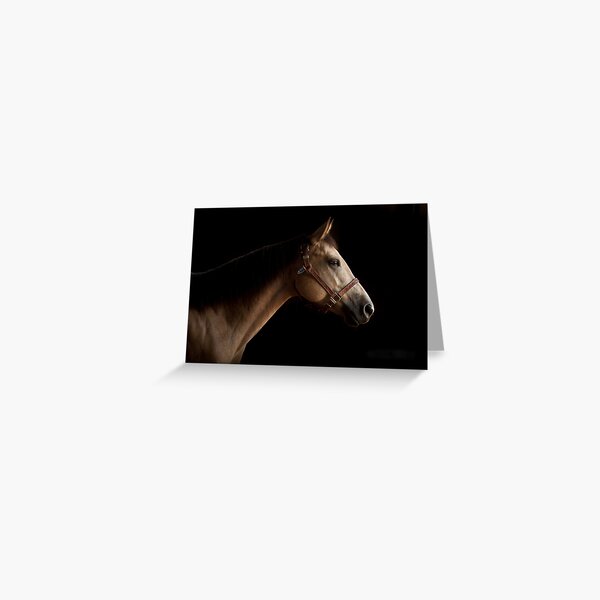Buckskin Horse I Greeting Card