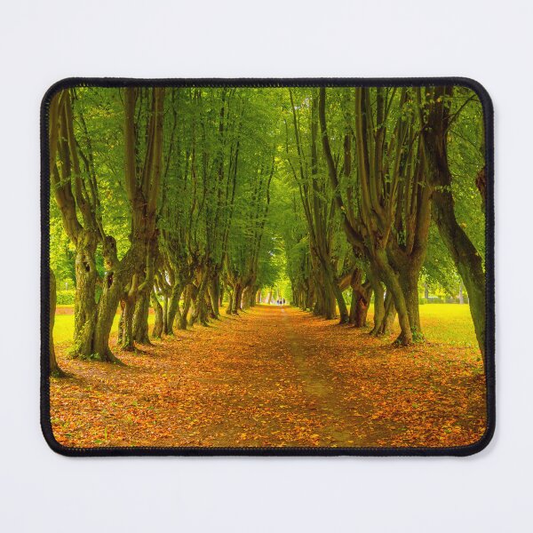 Item preview, Tree avenue, falling leaves designed and sold by HausmannArt.